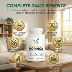 SUUDUUL Golden Chapter moringa leaf powder heap with natural nutrients.