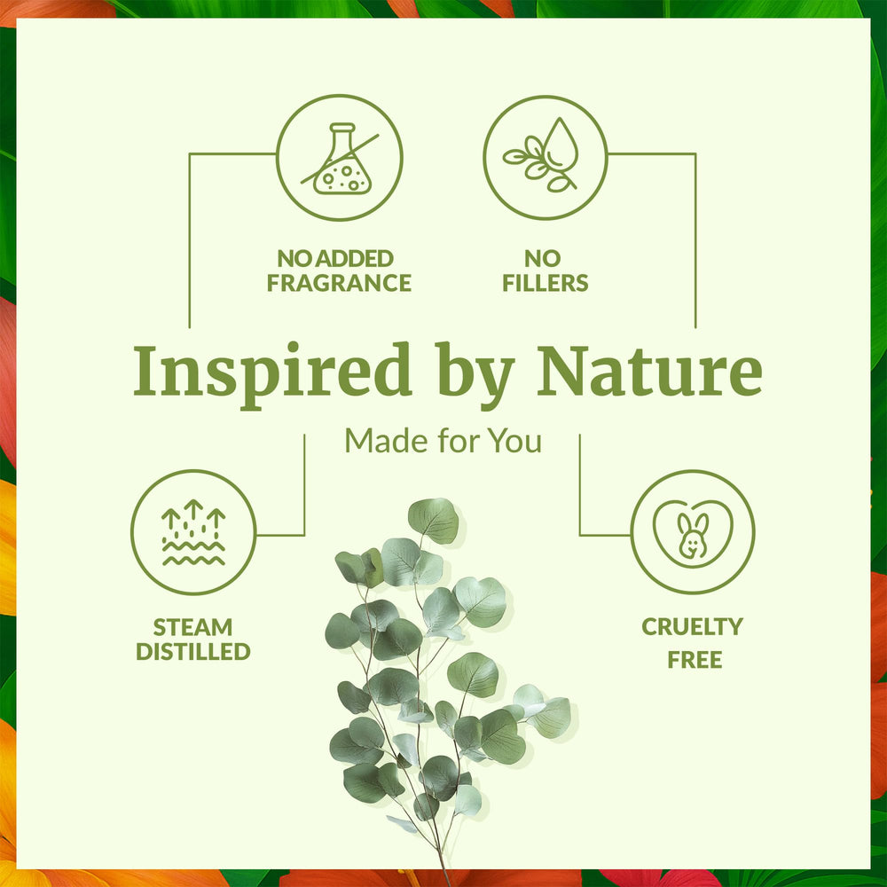 SVA eucalyptus oil in a diffuser scene for home fragrance.