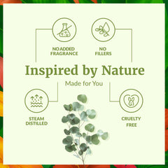SVA eucalyptus oil in a diffuser scene for home fragrance.