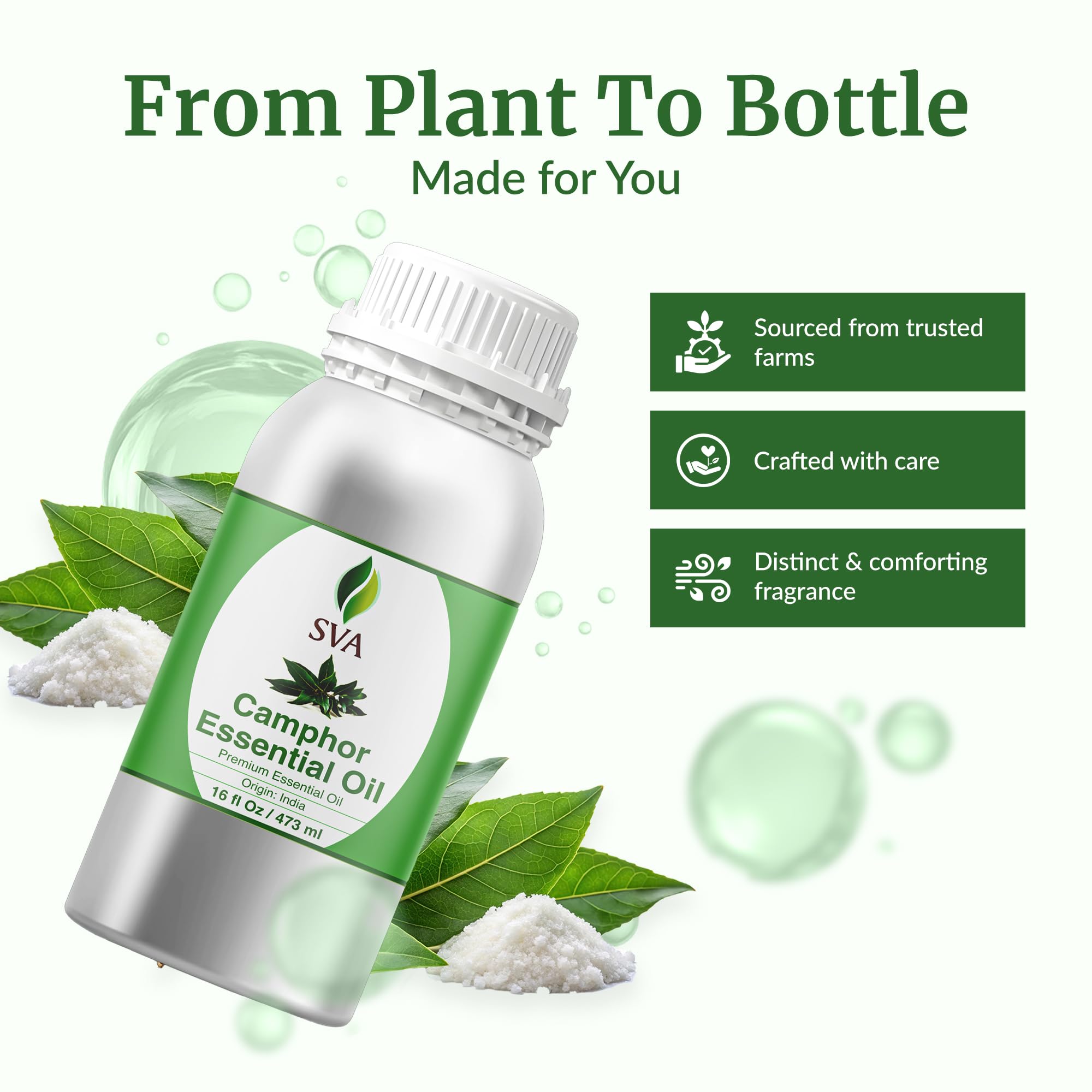 SVA Organics camphor oil body massage shows diluted skin application