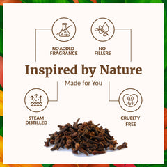 Dental care routine using SVA Clove Bud Oil for fresh breath