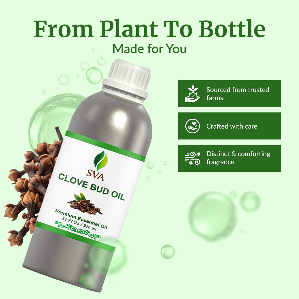 SVA ORGANICS Clove Bud Oil diluted for massage on the body.
