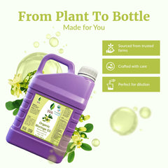 SVA Organics Moringa oil hair-scalp-application shows nourishing care for strands
