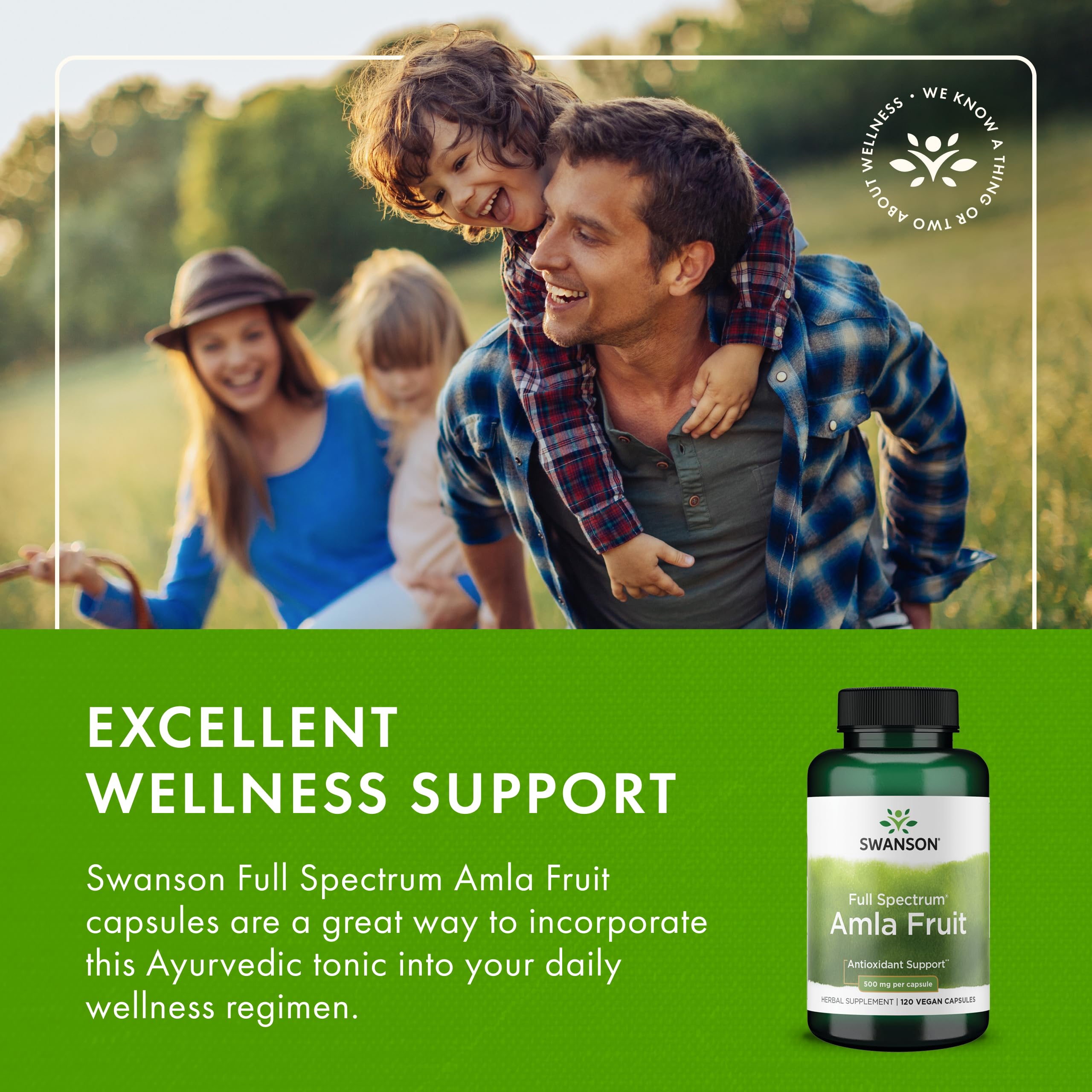 Swanson Amla phytonutrient content; supports overall wellness through natural compounds.