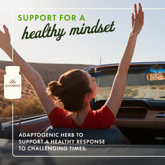 Close-up of Swanson Ashwagandha KSM-66 capsules for daily wellness.