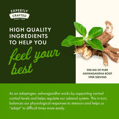 Swanson Ashwagandha serving scoop showing convenient dosage