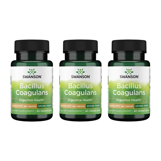 Swanson Bacillus Coagulans bottle front showing triple-pack for convenient gut support.