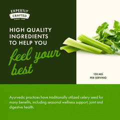 Swanson Celery Seed Maximum Strength packaging highlights antioxidant support