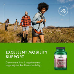 Daily-use panel for Swanson Glucosamine Chondroitin MSM tablets in a lifestyle setting