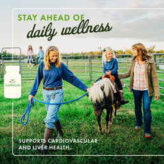 Swanson Kudzu root capsules highlighting traditional herbal remedy for wellness