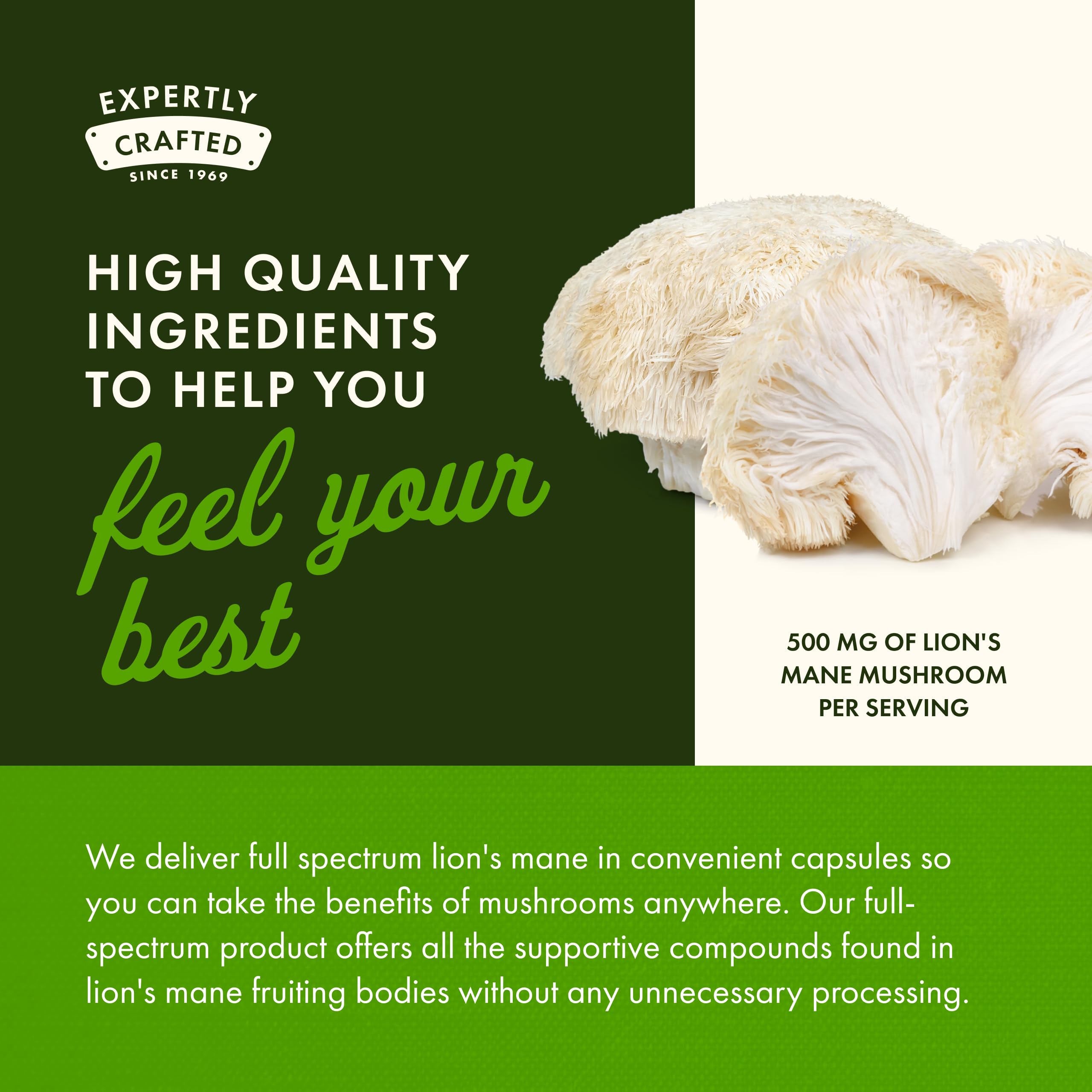 Swanson Lion's Mane capsules close-up shows evenly sized servings.