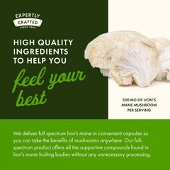 Swanson Lion's Mane capsules close-up shows evenly sized servings.