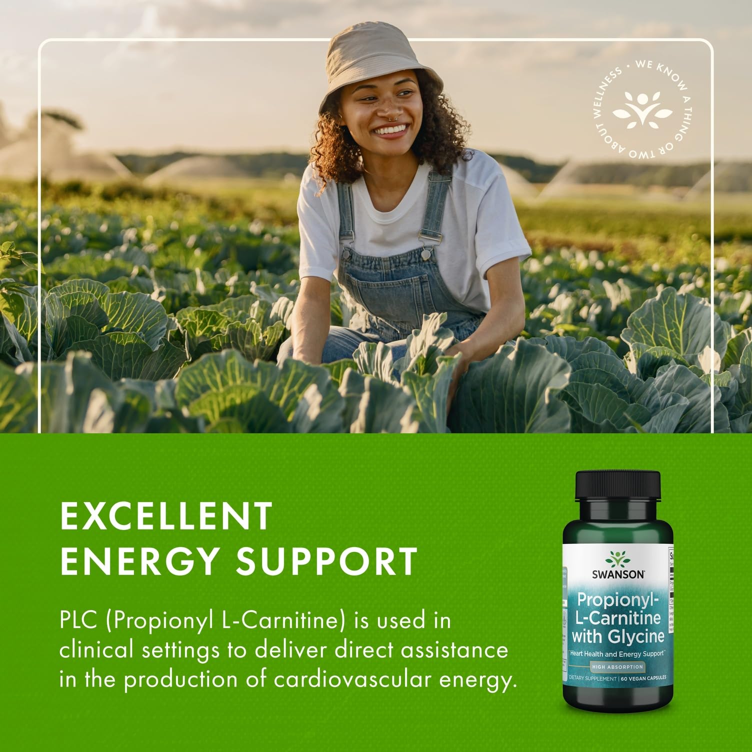 Swanson Propionyl L-Carnitine ingredients page spotlights Glycine addition.