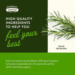 Swanson rosemary extract rosmarinic acid focus illustration for antioxidant support