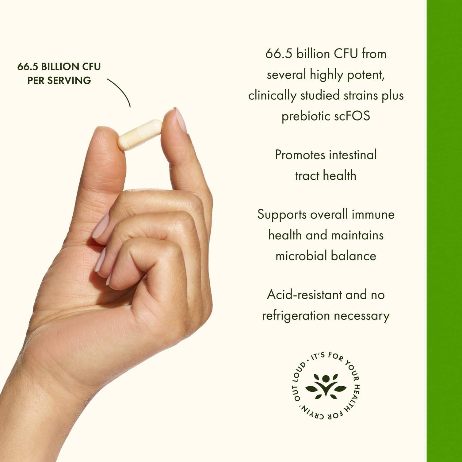 Swanson probiotic ingredients image emphasizes NutraFlora scFOS inclusion.