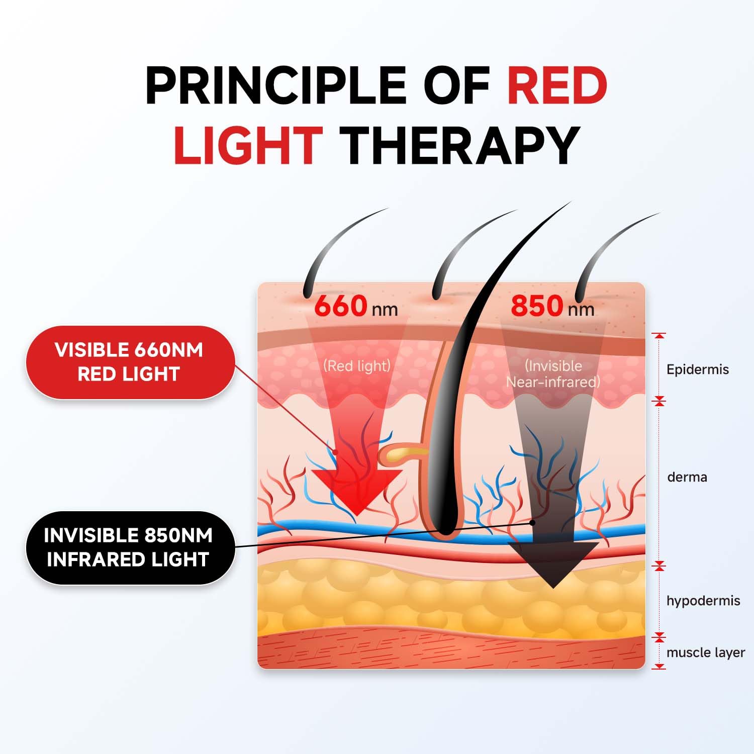 Swirise red light therapy belt worn on chair showing hands-free comfort.