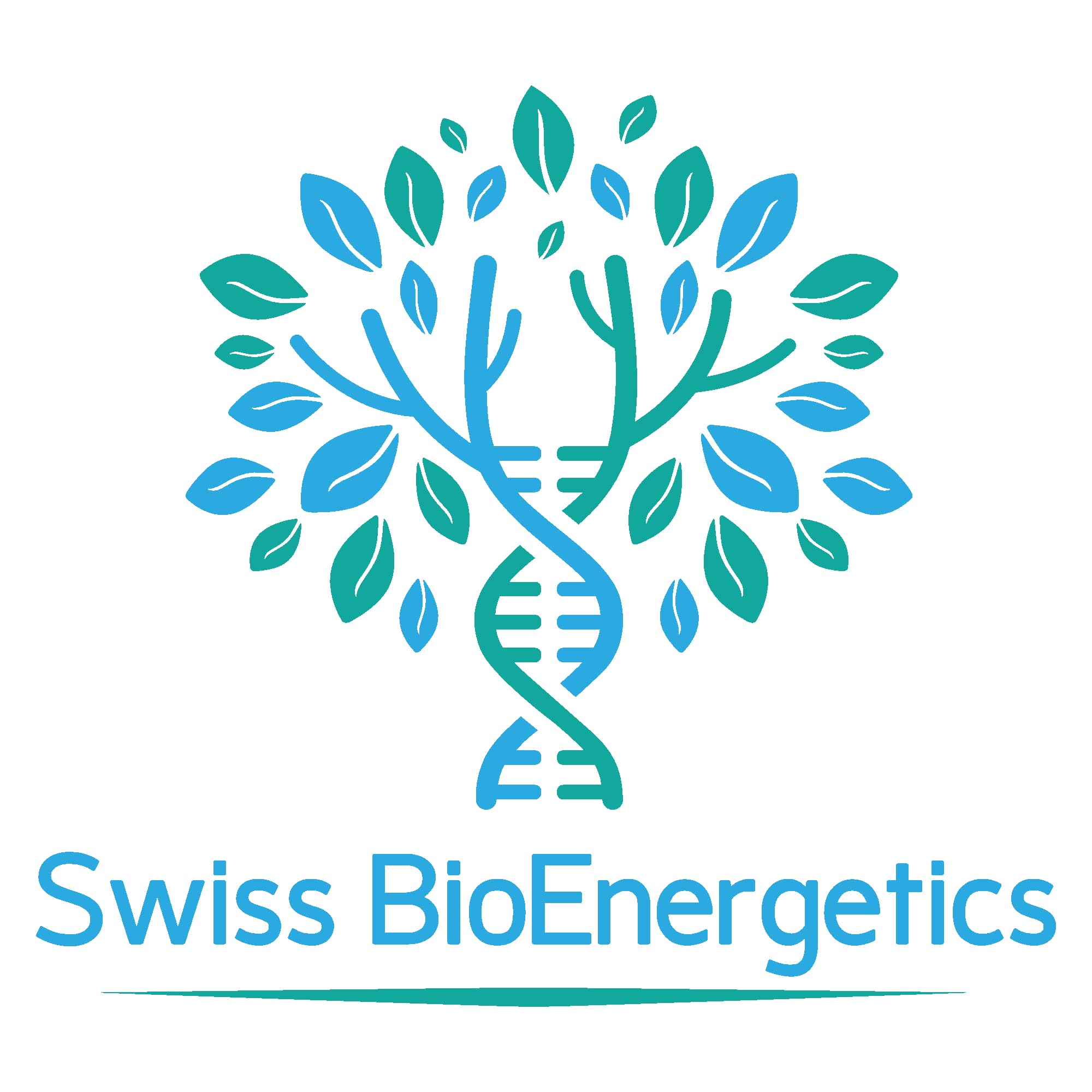 Swiss BioEnergetics Magtein daily-dose setup suggesting routine for memory support
