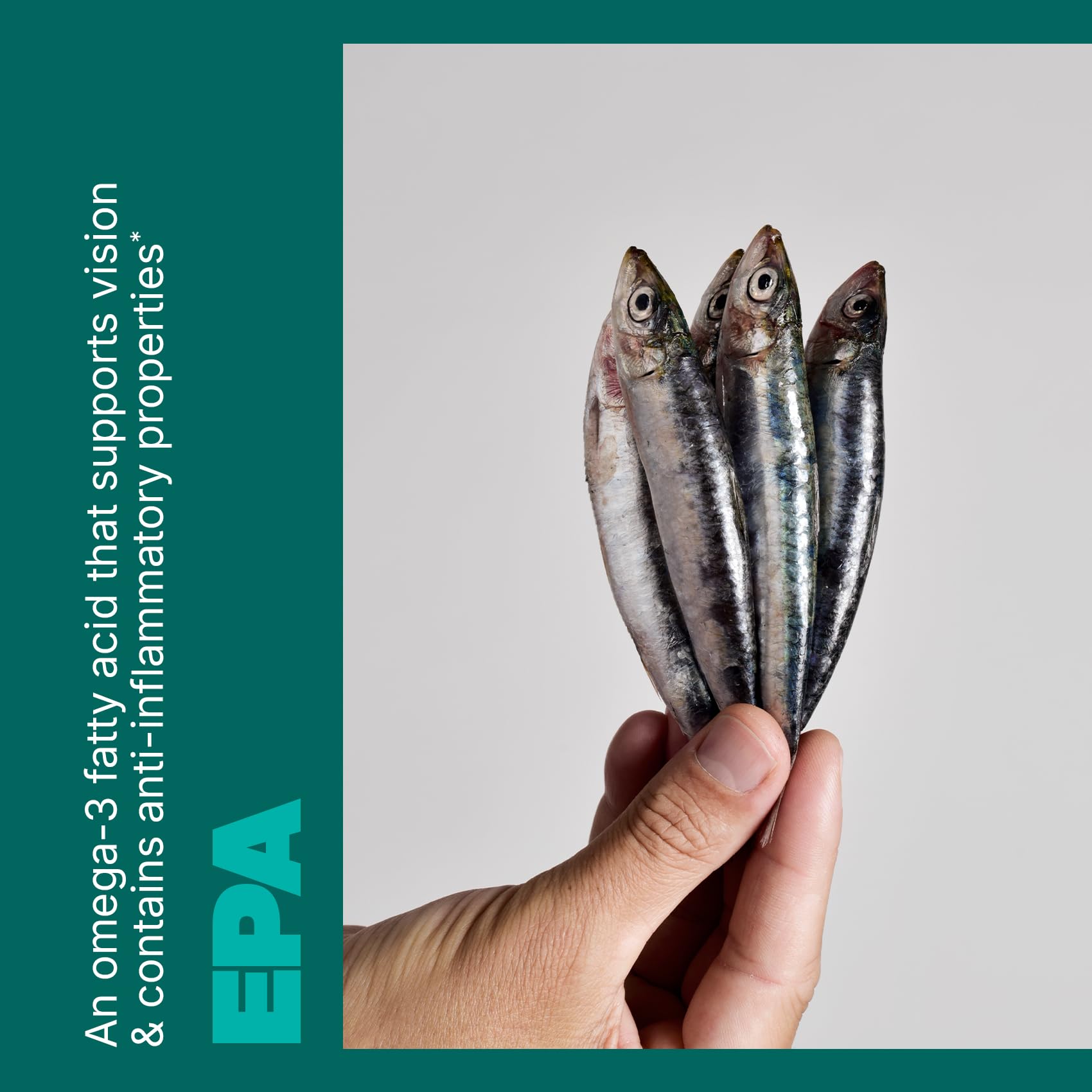 Swisse Wild Fish Oil heart health icon representing omega-3 benefits.