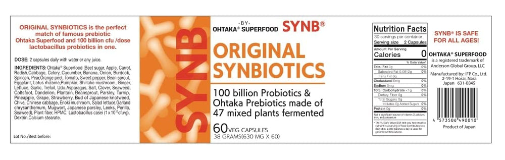 SynB gut-immune concept illustration, modern wellness support.