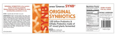 SynB gut-immune concept illustration, modern wellness support.