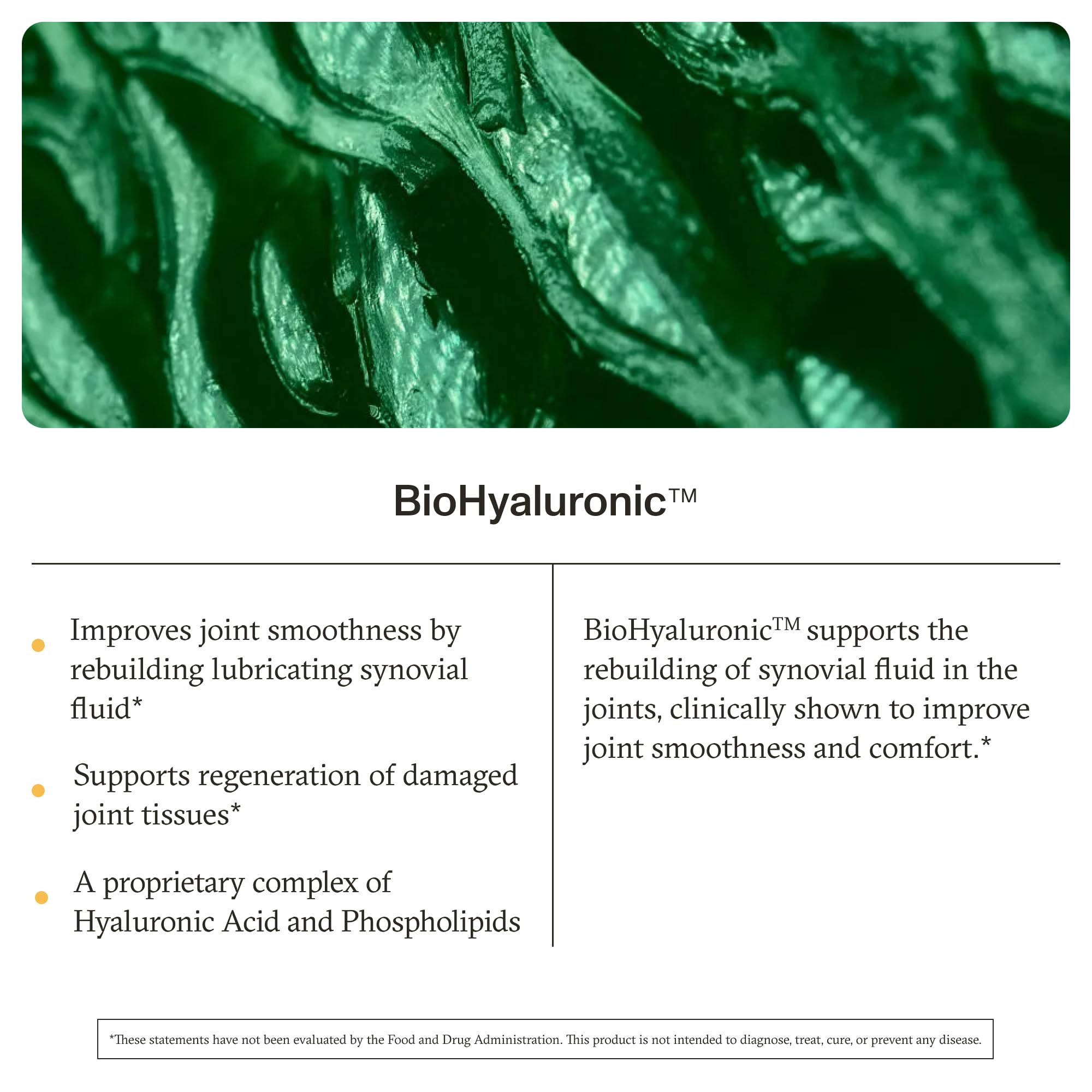 Synchro Rejuve anthocyanins berries highlight antioxidant-rich blend for joint wellness.