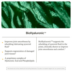 Synchro Rejuve anthocyanins berries highlight antioxidant-rich blend for joint wellness.