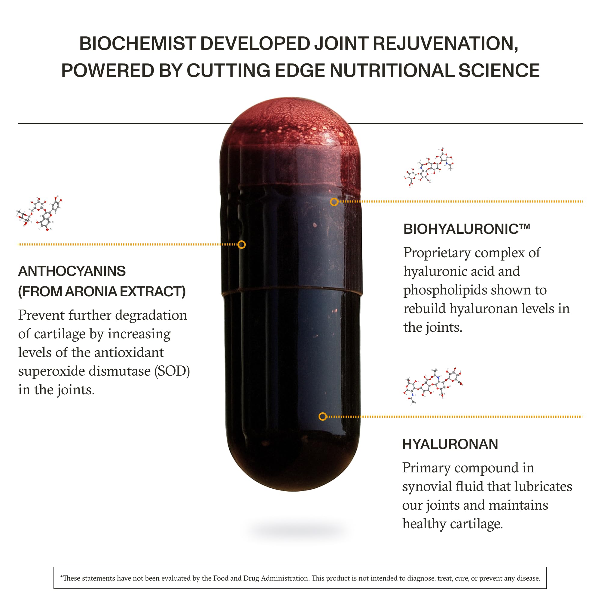 Synchro Rejuve biohyaluronic complex visual suggesting joint lubrication support.
