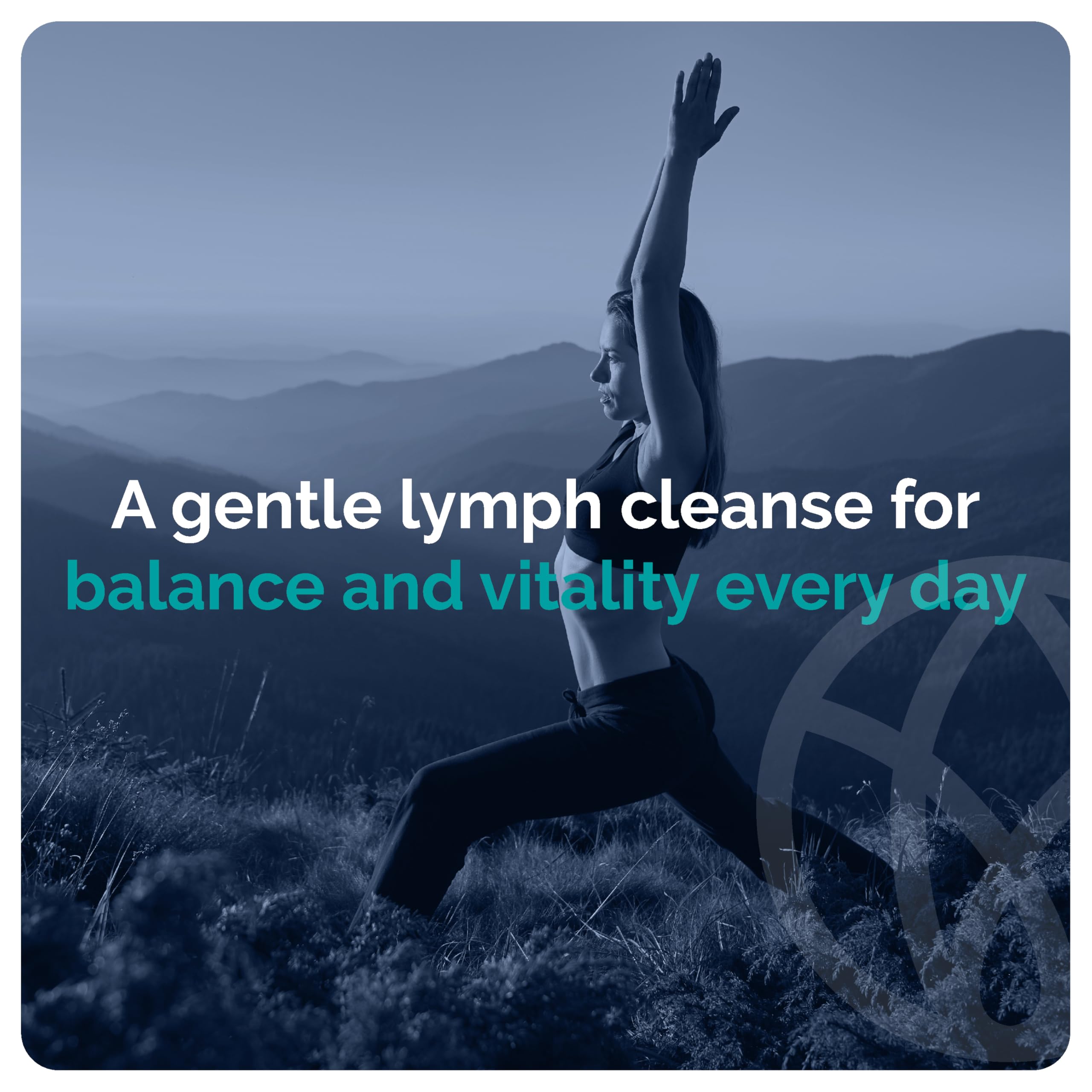 SYNVITE LymphaFlo burdock root powder evokes cleansing support.
