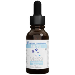 Systemic Formulas MORS LQ bottle front for daily brain support.