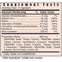 Systemic Formulas Nerve daily use scene in a calm wellness routine