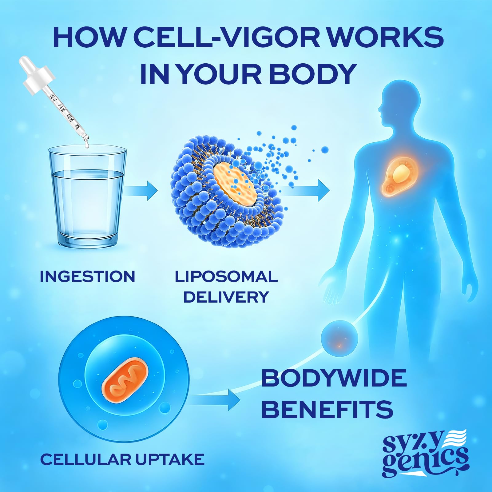 SYZY GENICS pH balance and minerals close-up