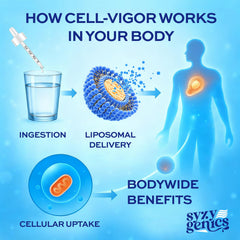 SYZY GENICS pH balance and minerals close-up