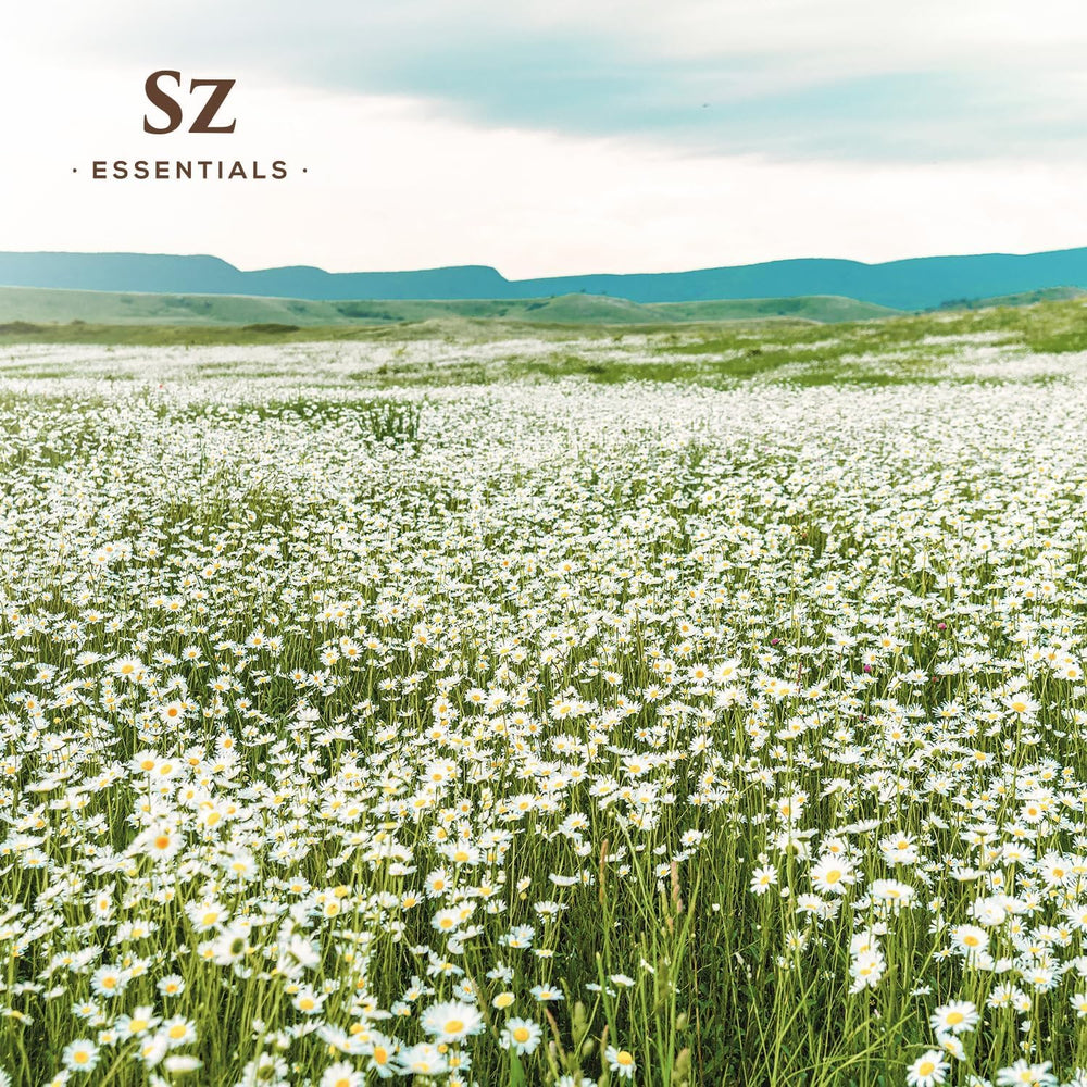 Sz Essentials Blue Chamomile diffuser scene creates a calming atmosphere