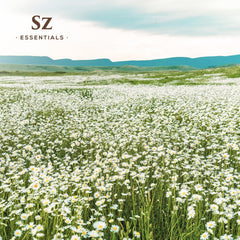 Sz Essentials Blue Chamomile diffuser scene creates a calming atmosphere