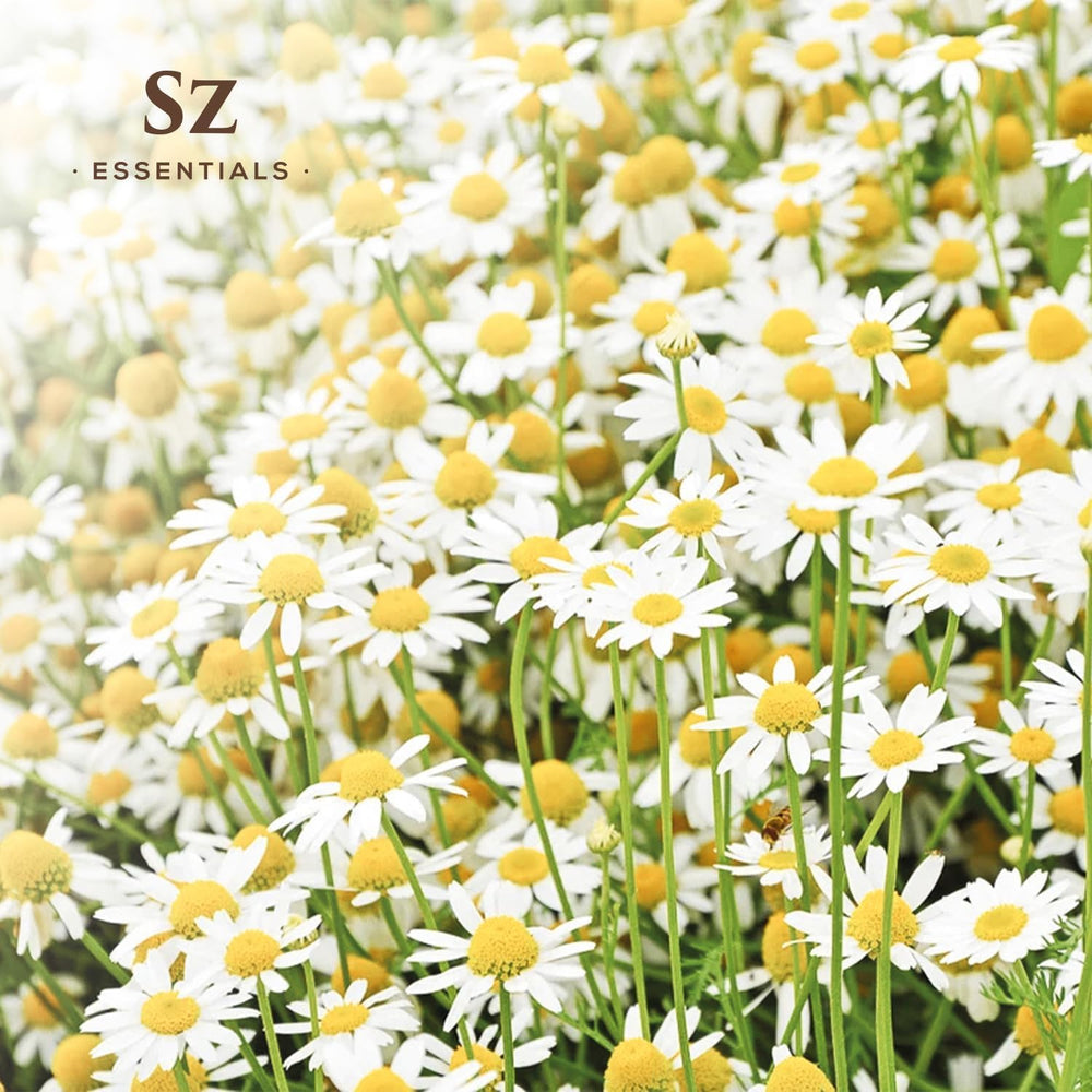 Sz Essentials blue chamomile packaging suggests premium gift-friendly presentation