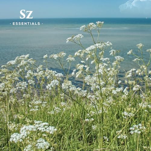 Sz Essentials Blue Yarrow skincare application for gentle, soothing use