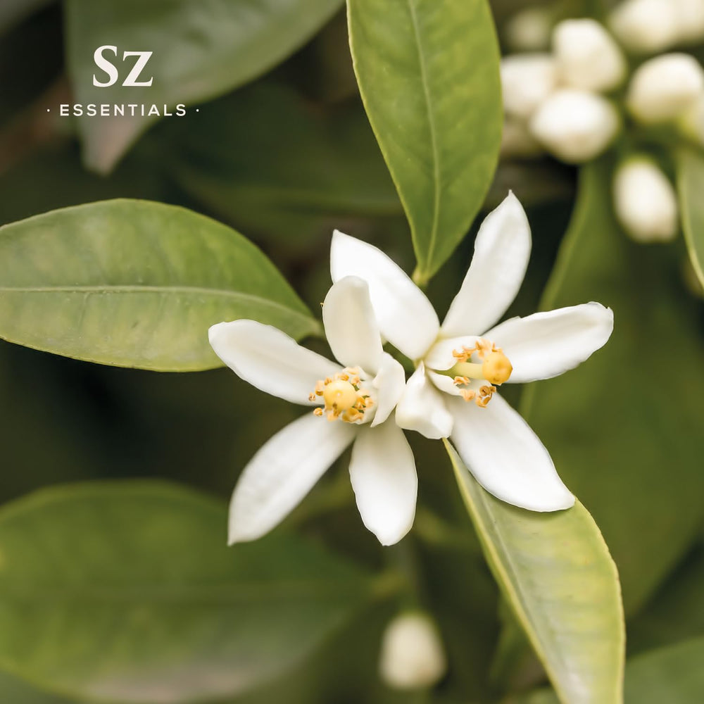 Sz Essentials Neroli oil dropper bottle ready for gentle topical use