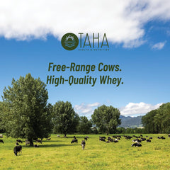 Taha Health & Nutrition vanilla whey ingredients label highlights natural flavors.