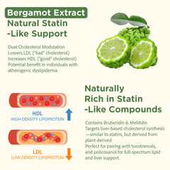 Talyvoriathor policosanol from sugarcane wax, supporting balance.
