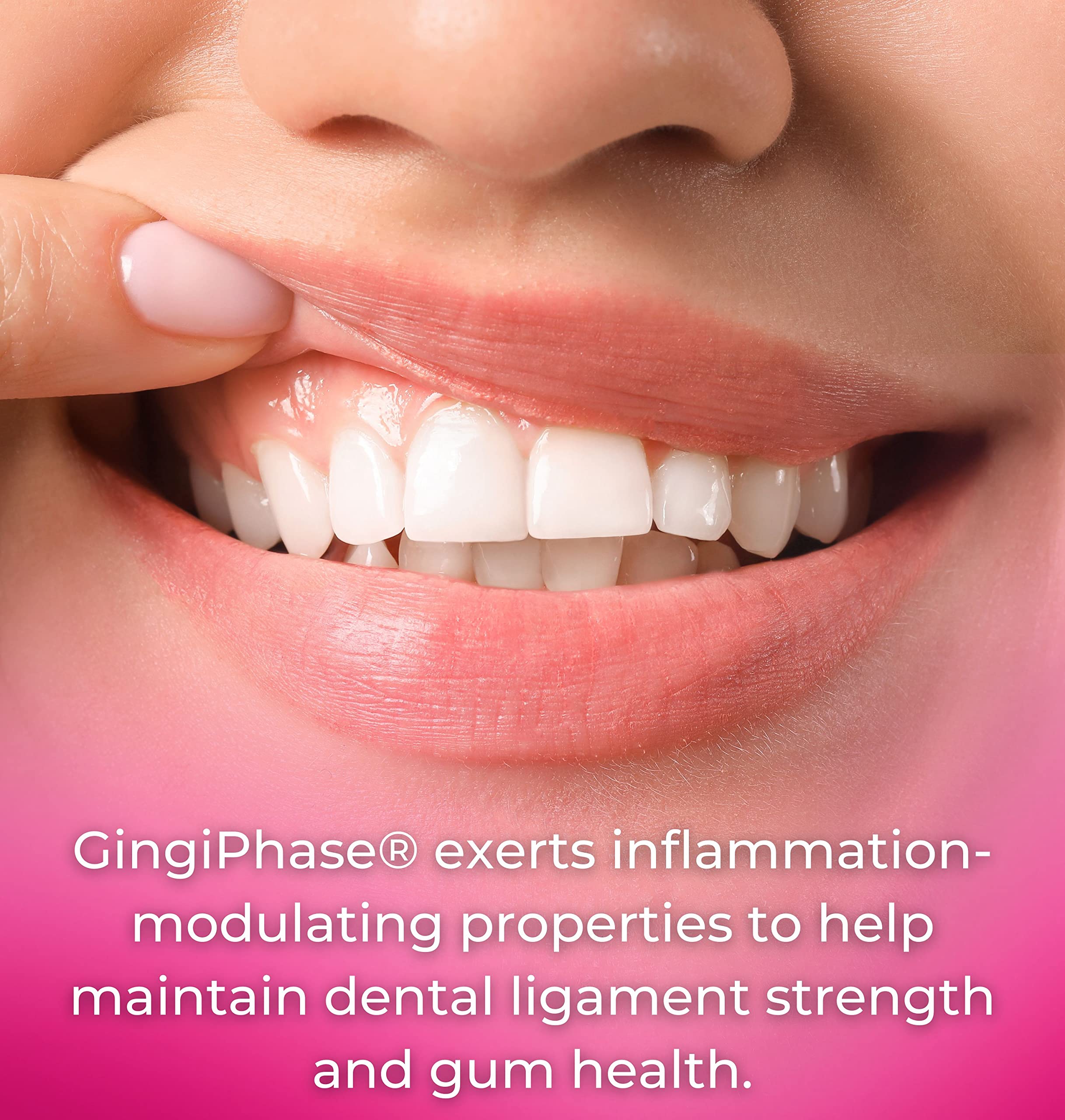 Tango GingiPhase herbal blend image highlights Scutellaria and Drynaria ingredients.