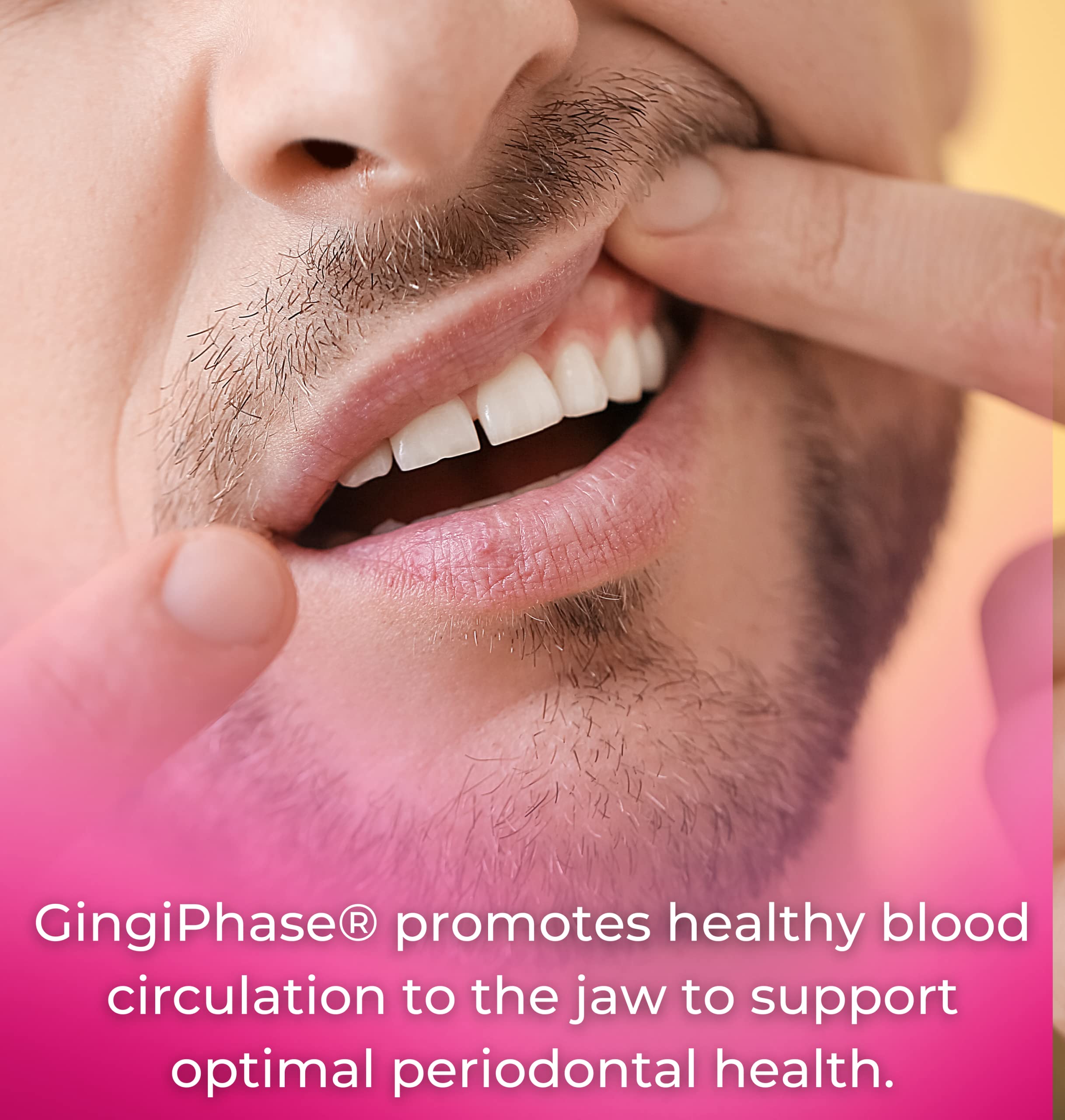 Tango GingiPhase jaw circulation illustration emphasizing healthy blood flow to the jawbone.