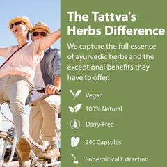 Tattvas Herbs Arjuna bark closeup indicating full spectrum extract origin.