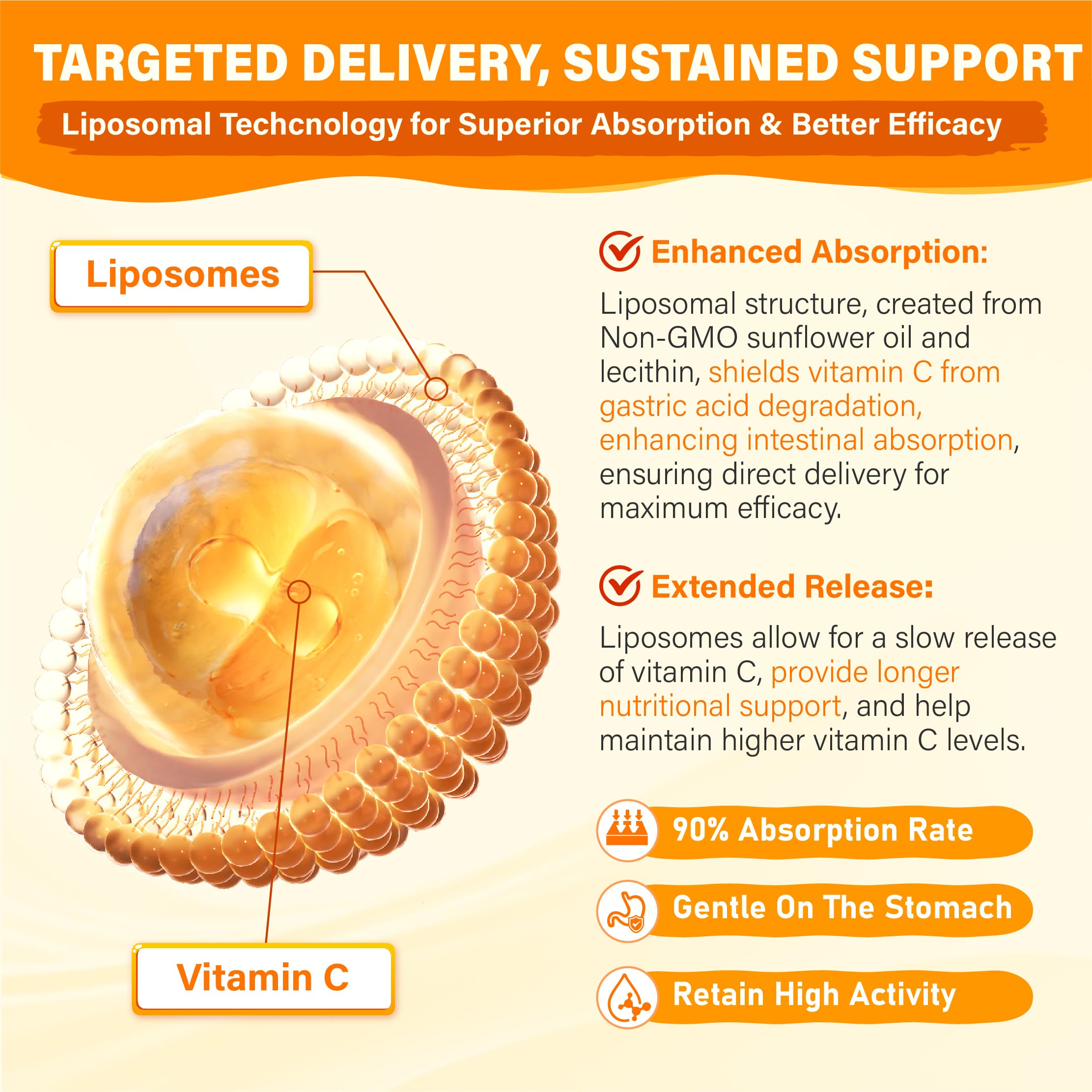 Tcemundry immune-support blend with rose hip and elderberry signals robust daily defense.