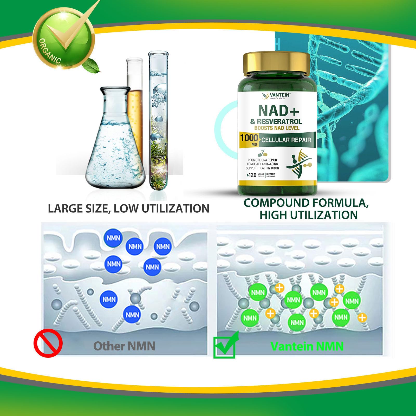 TEATTY NAD+ & Resveratrol DNA icon representing DNA-related support visuals