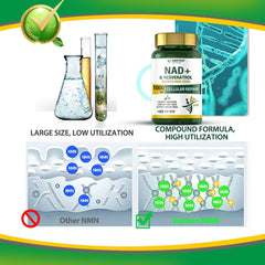 TEATTY NAD+ & Resveratrol DNA icon representing DNA-related support visuals