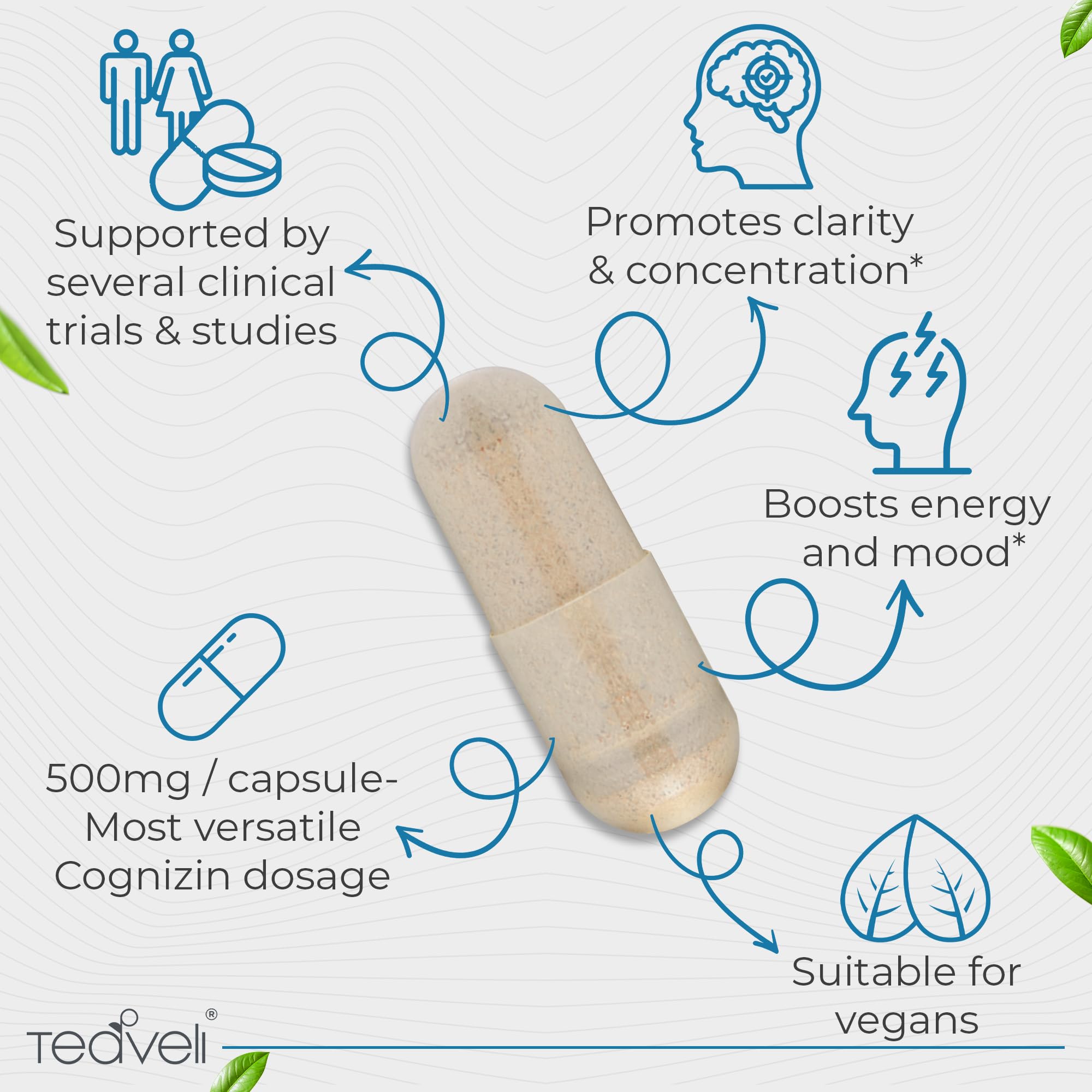 Teaveli Cognizin capsule in hand for portable brain support on the go