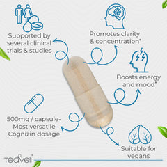 Teaveli Cognizin capsule in hand for portable brain support on the go