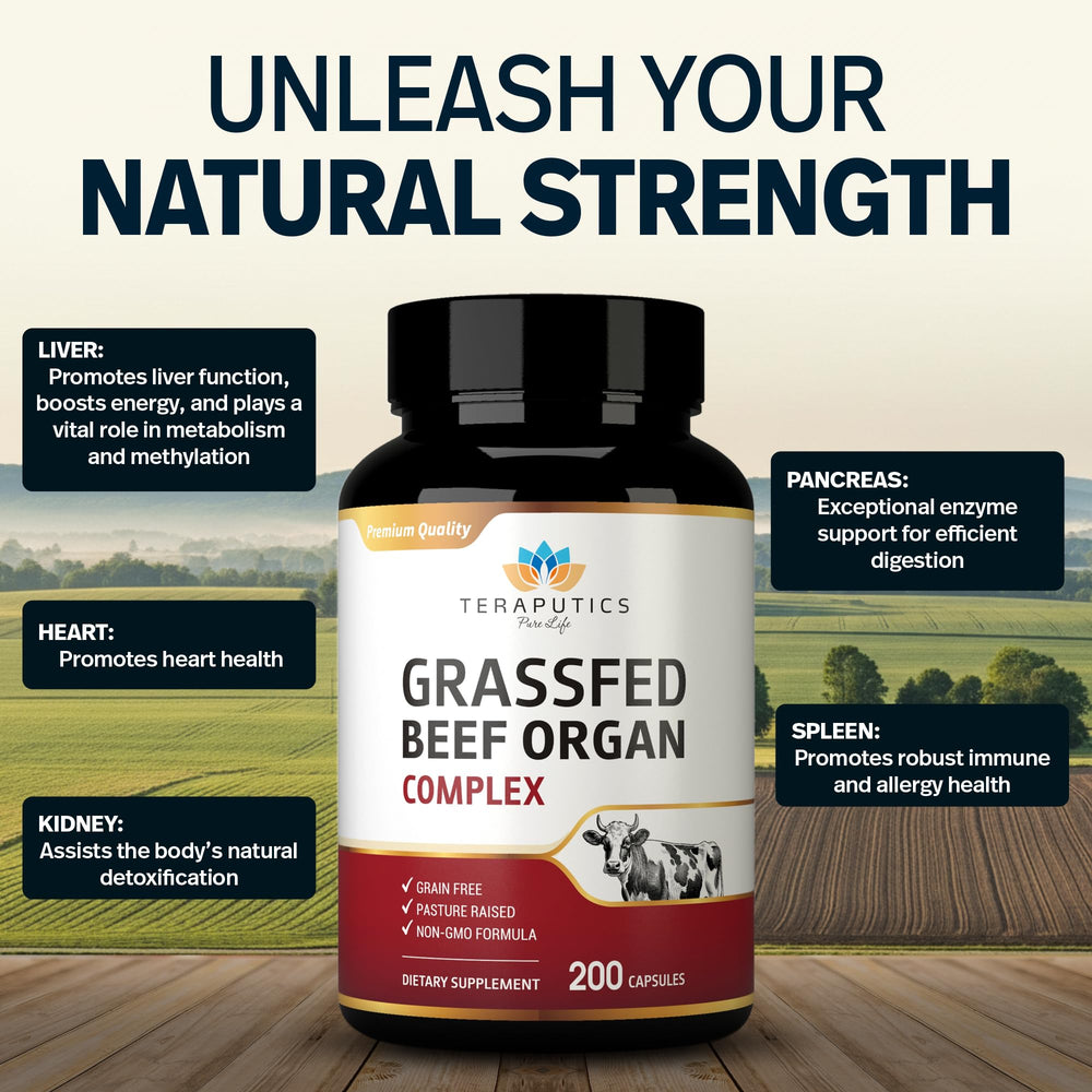 Teraputics beef organs capsules closeup highlights easy to take capsules