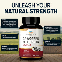 Teraputics beef organs capsules closeup highlights easy to take capsules