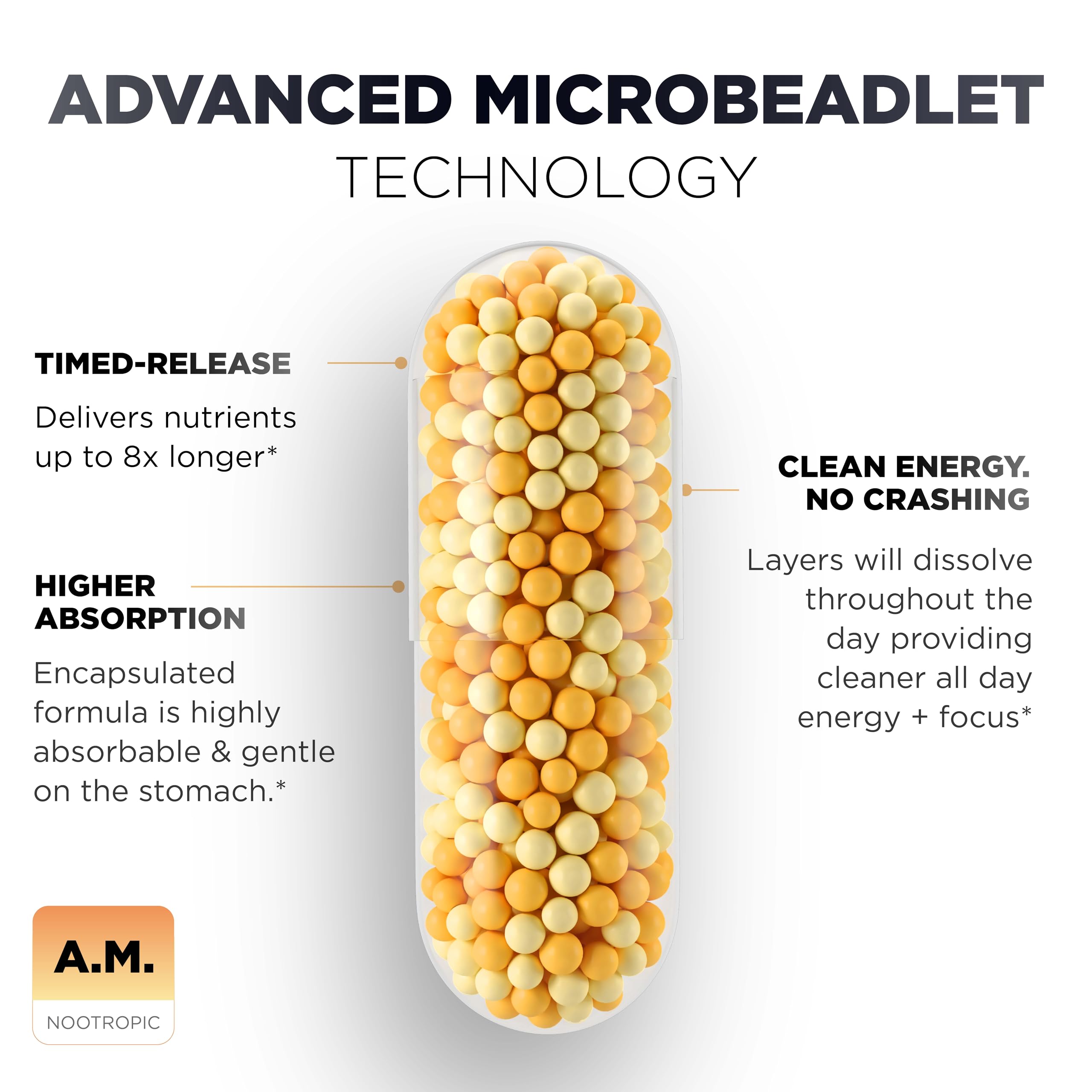 Terra Elmnt AlphaSize Alpha GPC capsule suggests memory and recall support